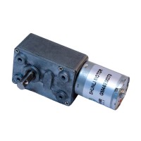 Shunli motor GM4632-370 DC 12V 6V 24V high torque low rpm dual shaft dc worm gear motor with reduction gearbox for robot